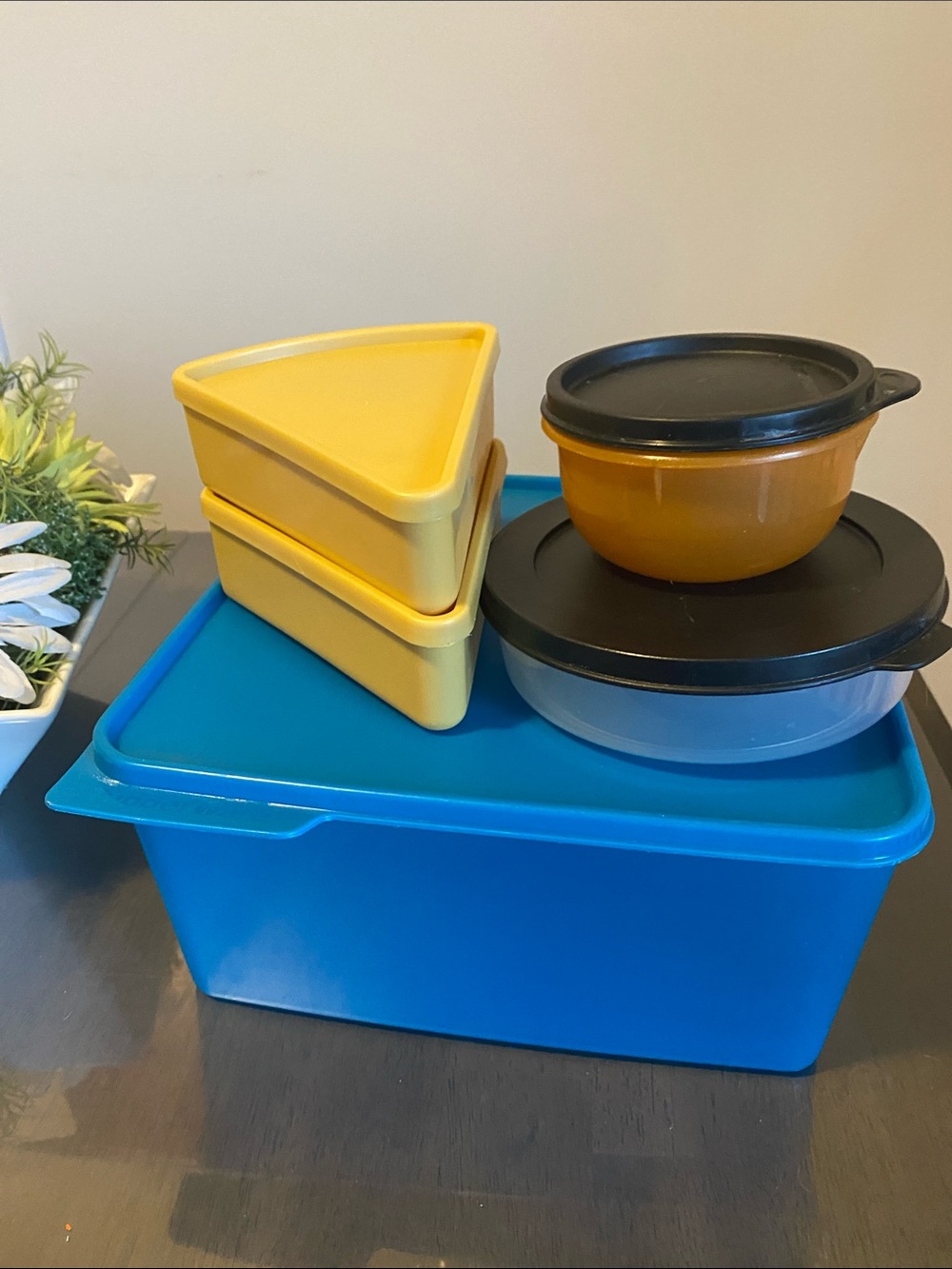 Tupperware Food Storage Bundle Containers